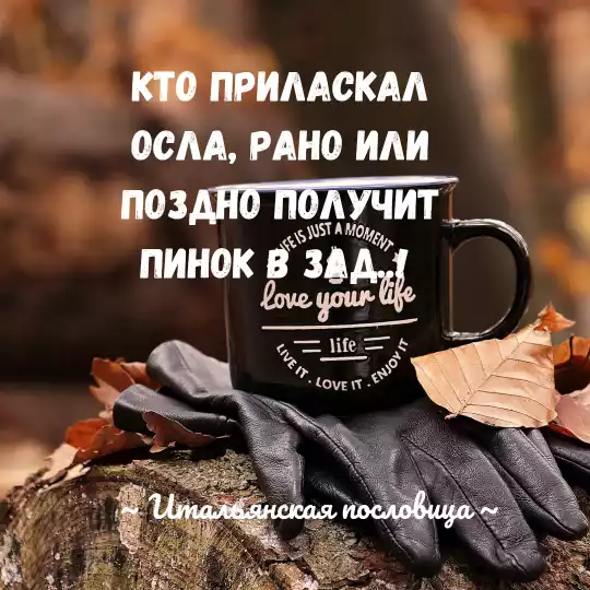 Вдохновляющие цитаты